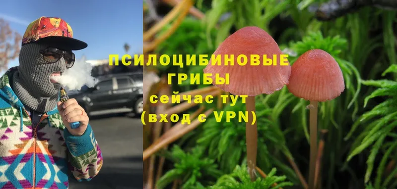 МЕГА сайт  дарнет шоп  Верхнеуральск  Псилоцибиновые грибы Magic Shrooms 